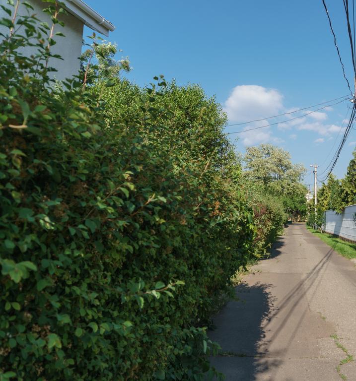 Authentic Odessa Dacha Villa Exterior photo